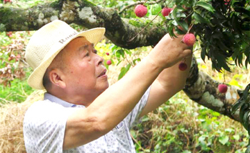 四十三年堅(jiān)守 打磨一顆“匠心”——記公司建廠元老、勞動模范姚林根