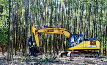 林場作業(yè) 柳工設(shè)備揮灑自如——柳工拉美市場系列報(bào)道之一