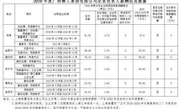 2020年度廣西柳工集團有限公司企業(yè)負責(zé)人薪酬信息披露
