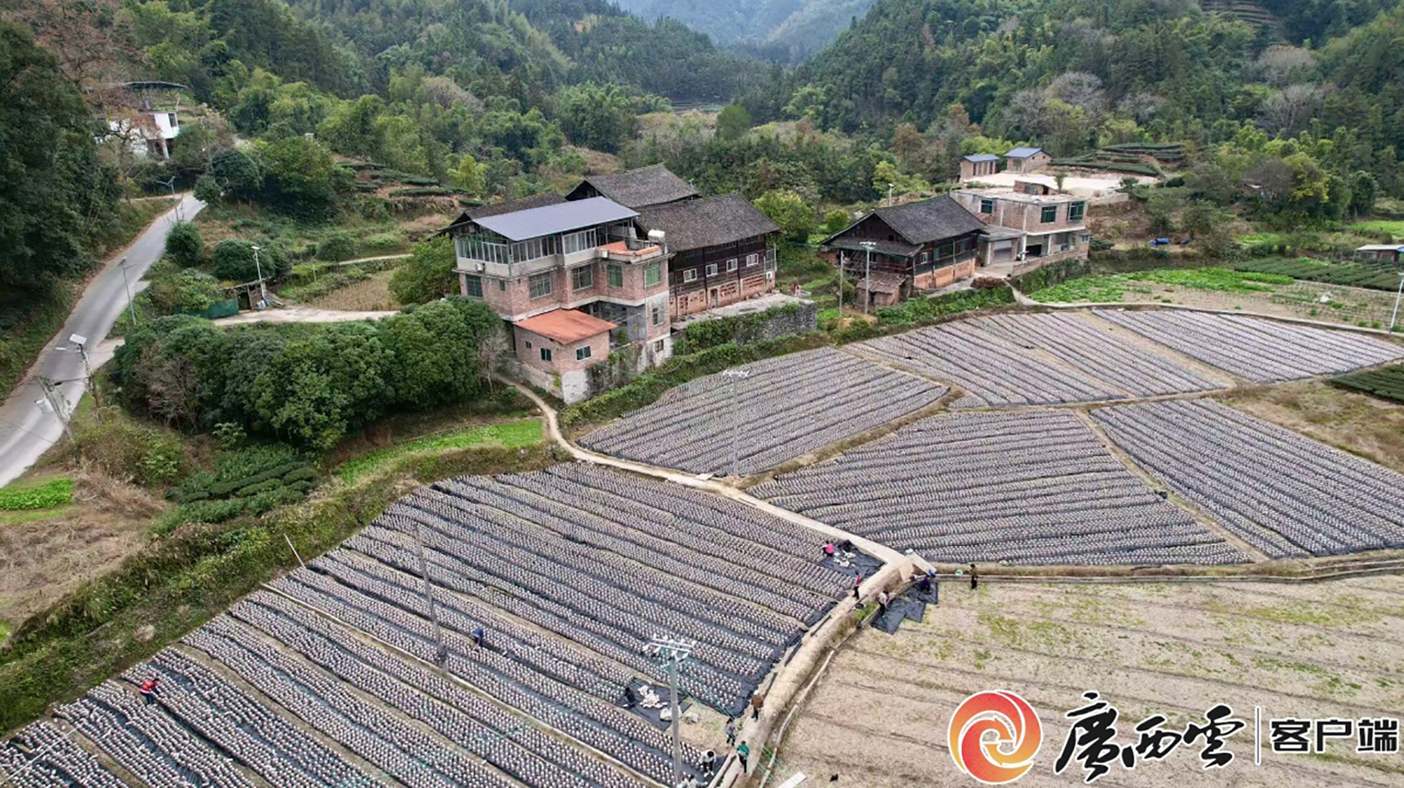 904f93a8650c46a47dfd2bbd9ad4ff5d_wme4e3