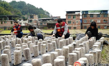 媒體聚焦 | 看柳工定點(diǎn)幫扶村：冬日栽下“金棒”，來(lái)年春日綻“金花”