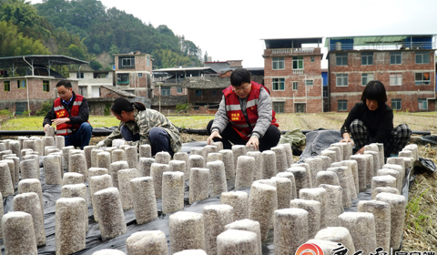 媒體聚焦 | 看柳工定點(diǎn)幫扶村：冬日栽下“金棒”，來(lái)年春日綻“金花”